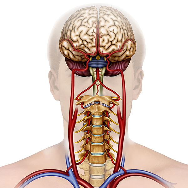 StellateGanglionBlock